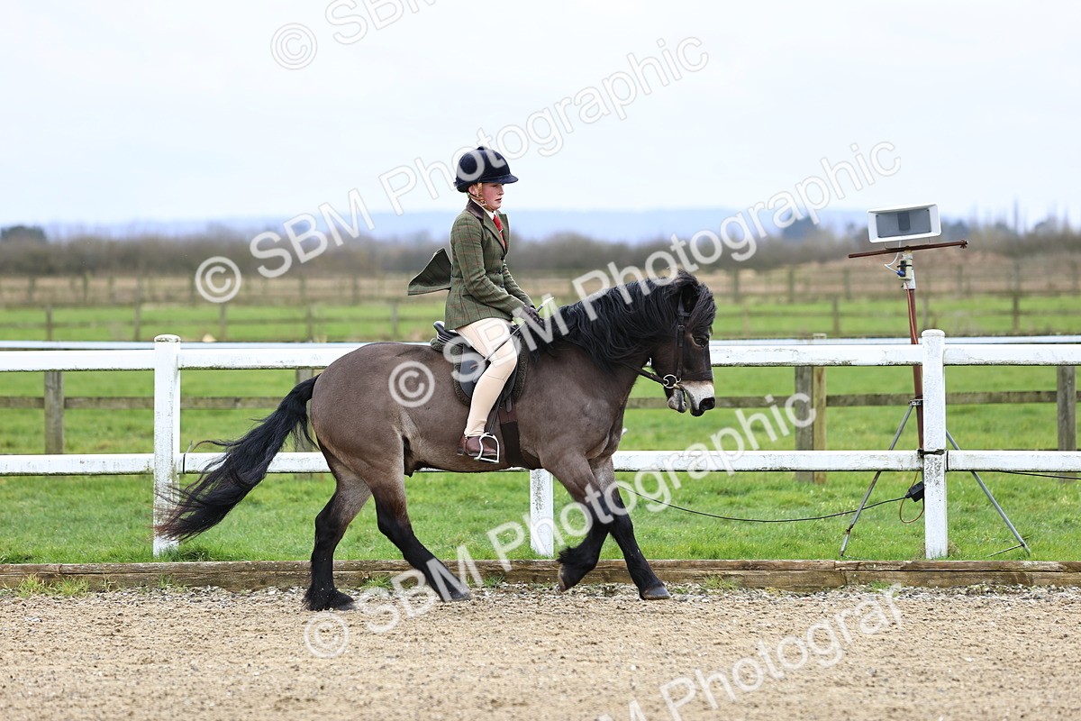 SBM_006763 - Class 29 - 30 - M&M Pure Novice Small-Large Breeds
