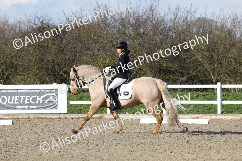 20260314-5815 - DR 7 - Elementary 1