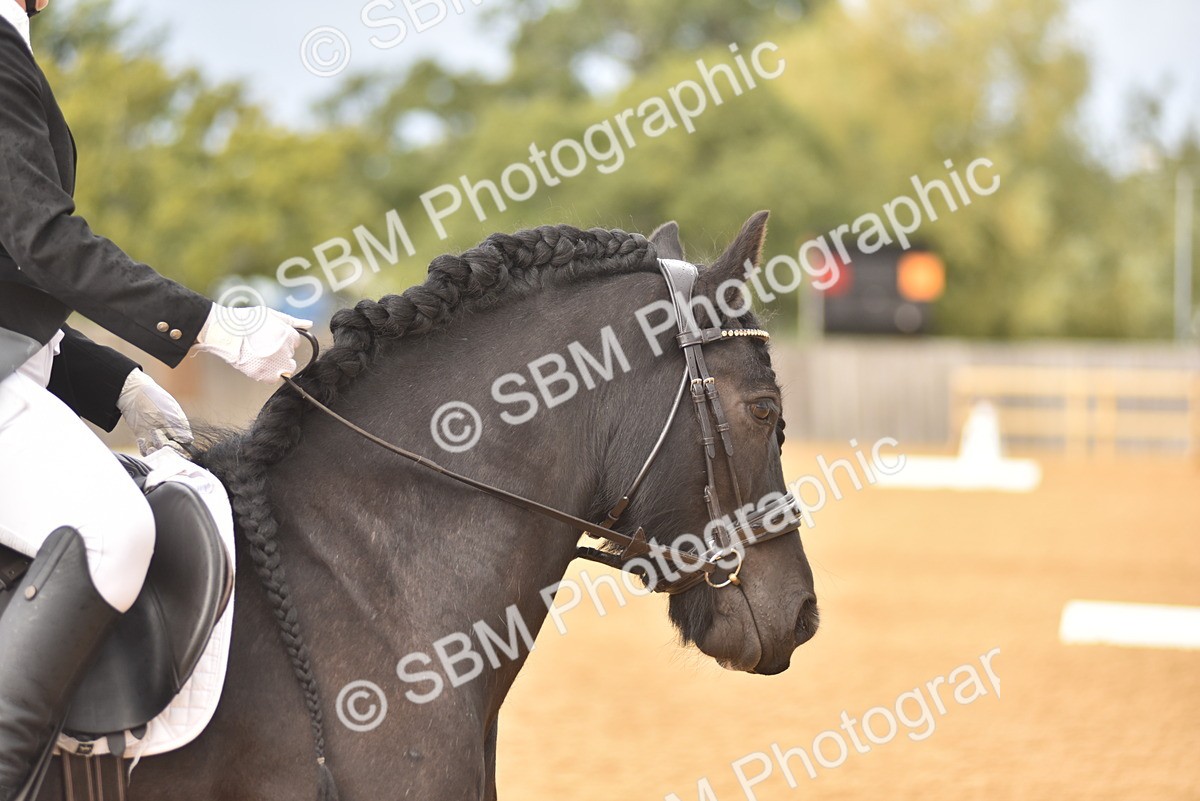 SBM_10125 - D15 - Small Tour Championship Novice 1
