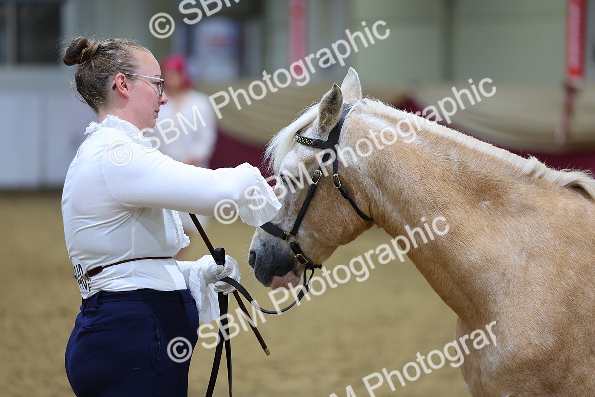 SBM_19441 - Class 901 - Supreme Final - IH Diamond