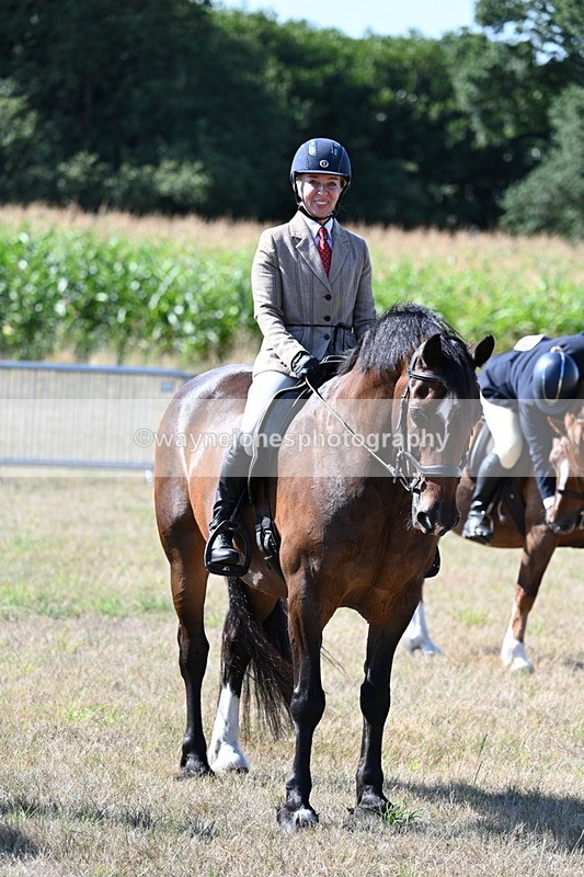 WJ7_3636 - Class 9 Mountain & Moorland Ridden