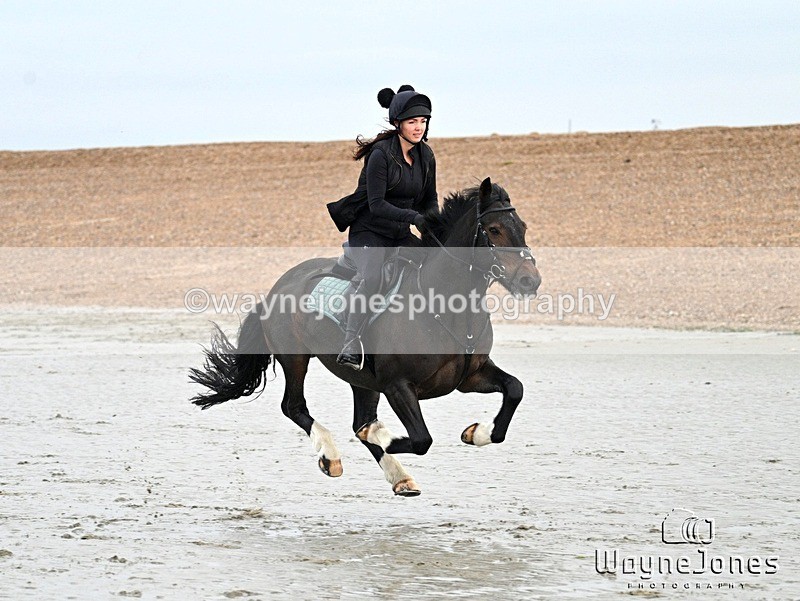 WJ7_9390 - Hayling Island Beach Shoot 22-09-24