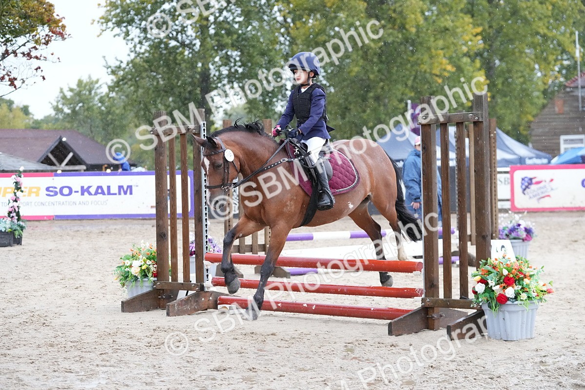 SBM_33840 - J5 - Junior Pony 50cm Championship