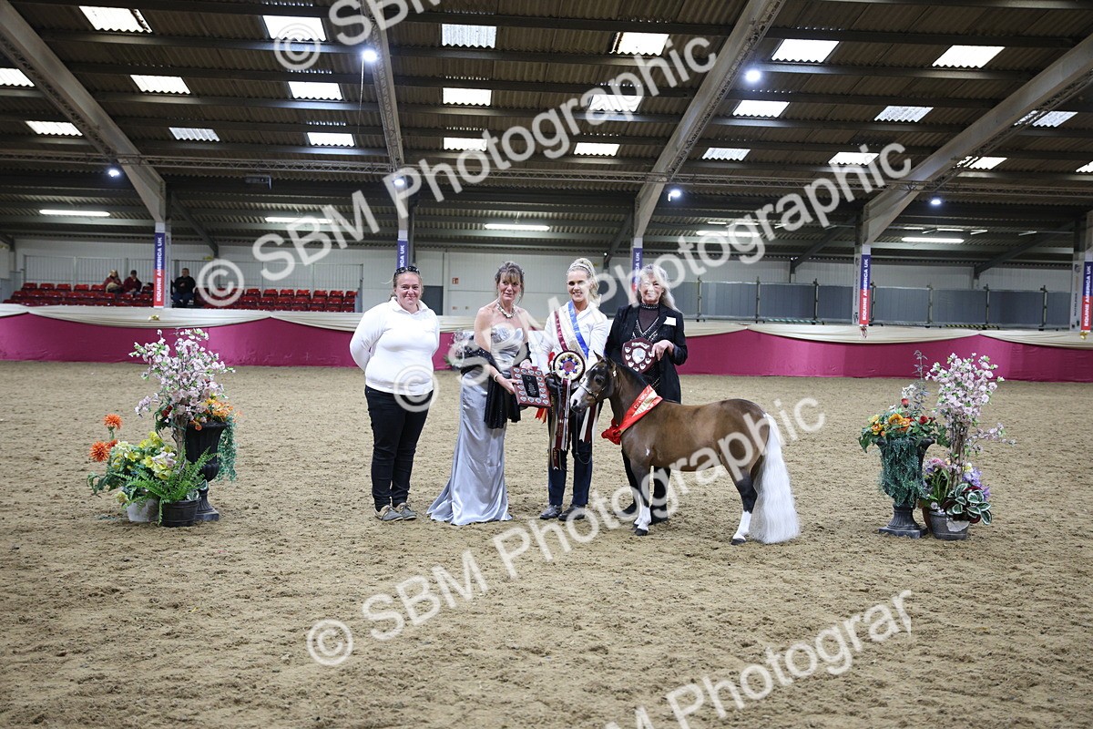SBM_18777 - Class D IH Pony Champ