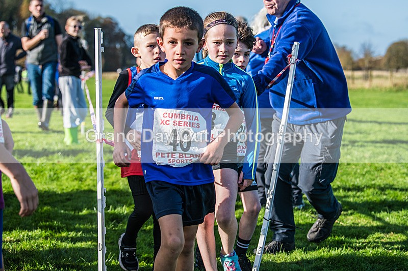 Cumbria XC-41 - Cumbria XC League Workington Saturday 26th October 2024