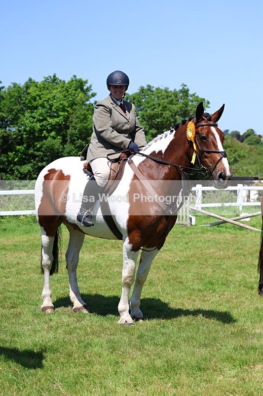 3E7A7405 - Class 30: Novice Working Hunter