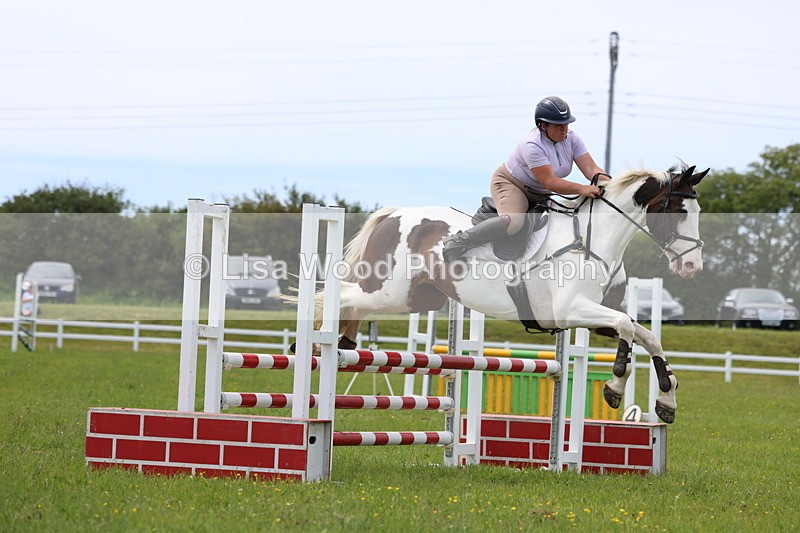 3E7A1682 - Class 13: Senior British Novice/90cm open
