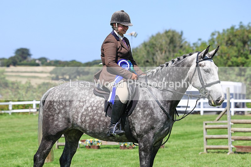 3E7A9320 - Working Hunter Championship