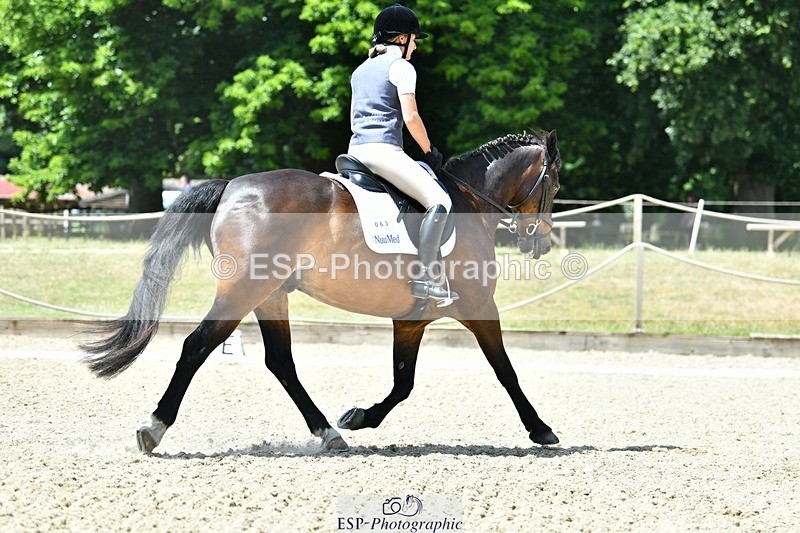 230623-122931-02231 - Cls 4 Novice 37Q Start to 12.35 break