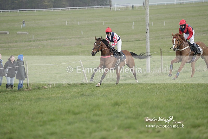 PtP 260323 0577 - New Forest Hounds Point-to-Point Larkhill 26/03/23