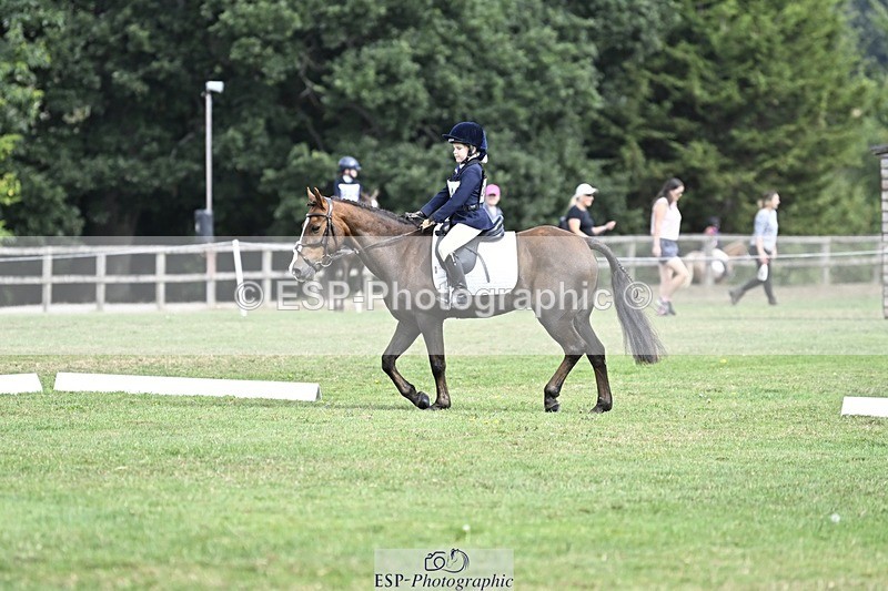 250821A-101725-14231 - DR 10.00 to 11.00