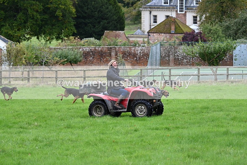 WJ7_4356 - Camera 1 Line 3