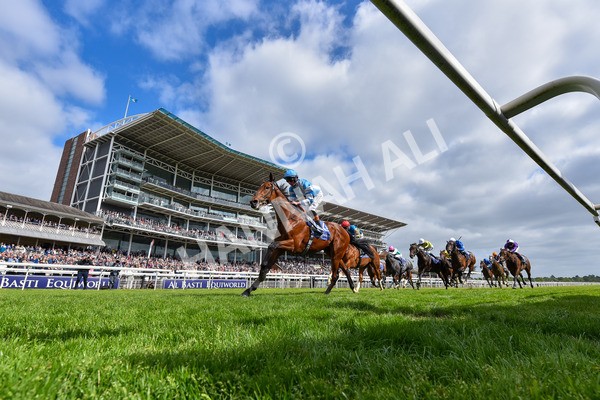 150525-Pride Of Arras-2413 - Race 4 3.45pm Al Basti Equiworld Dubai Dante Stakes