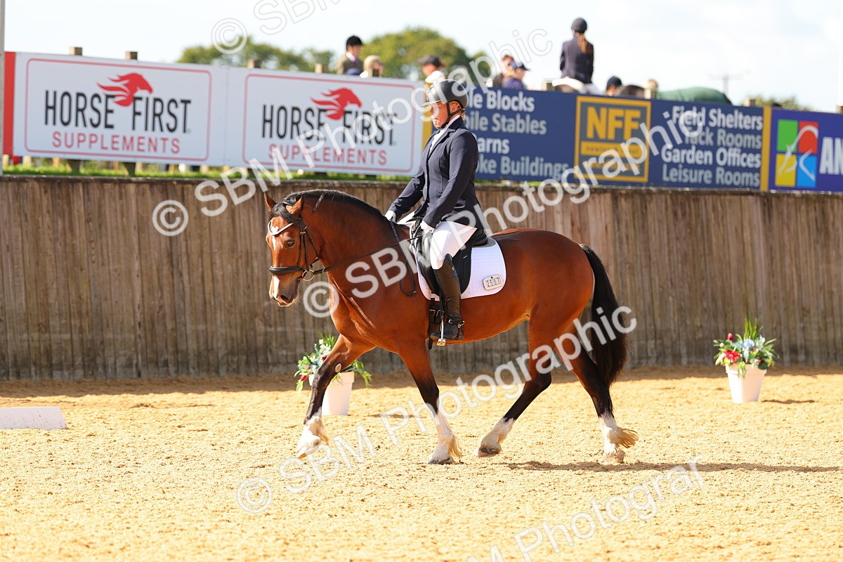 SBM_40831 - D18 - Grand Tour Championship - Novice 34