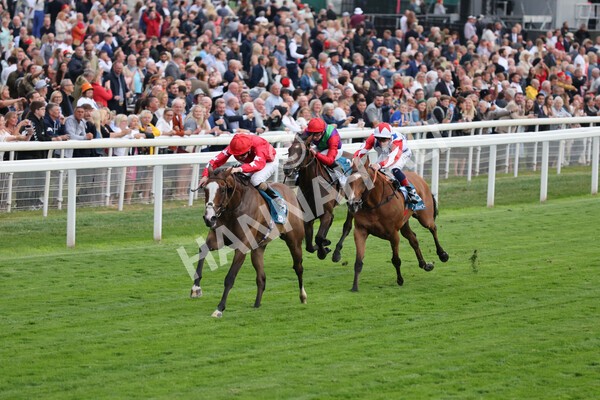 yr22072022r6-10 - Race 6 7.50pm Gallop Racing Stakes