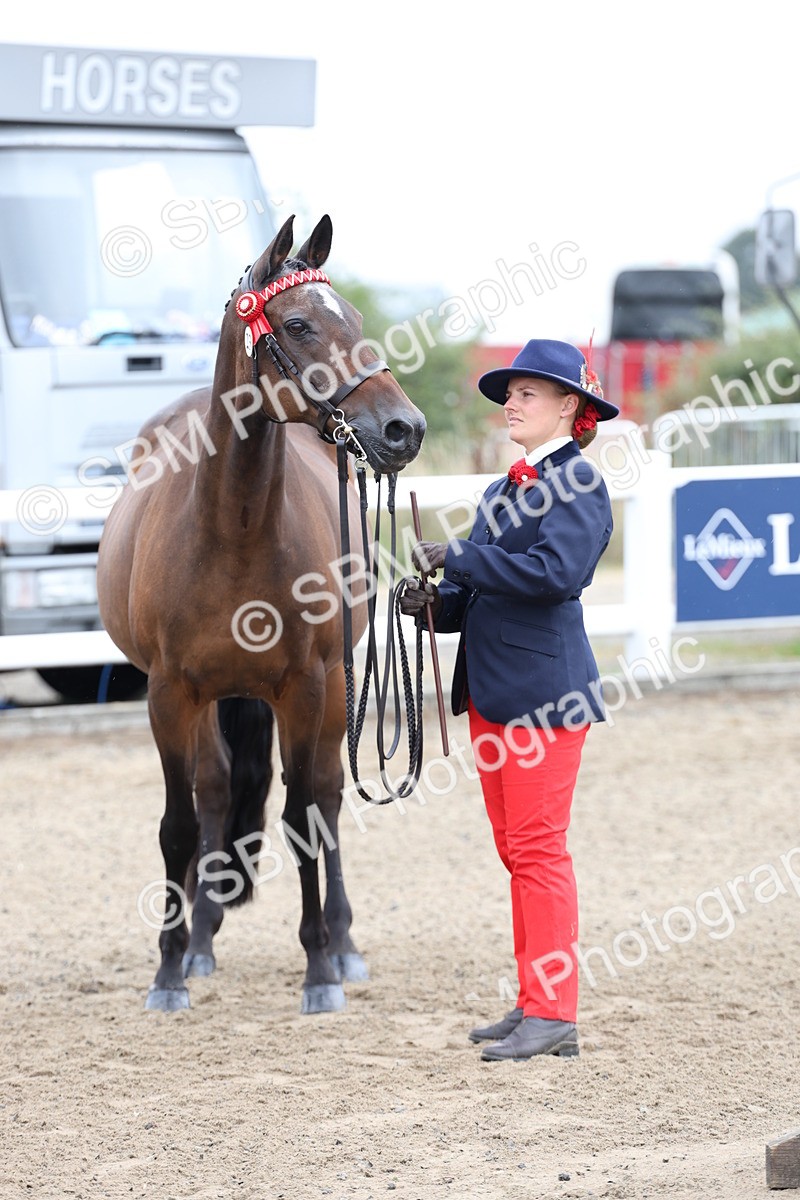 SBM_00044 - Class 50 - Best Turned Out IH