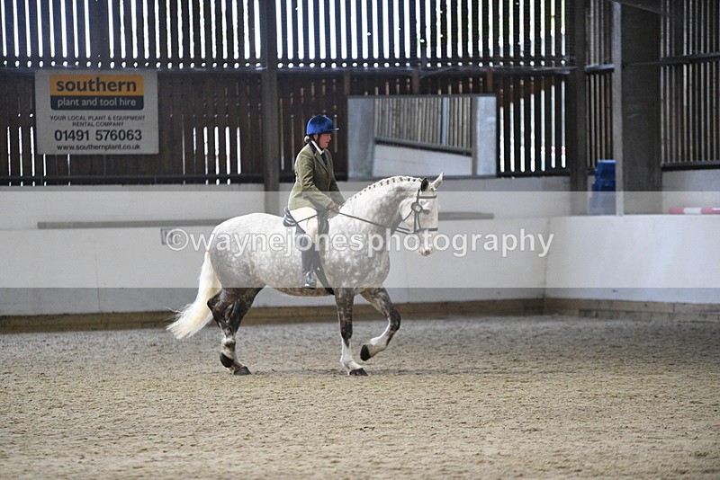WJ5_8236 - Class 14 Novice Ridden/Rider