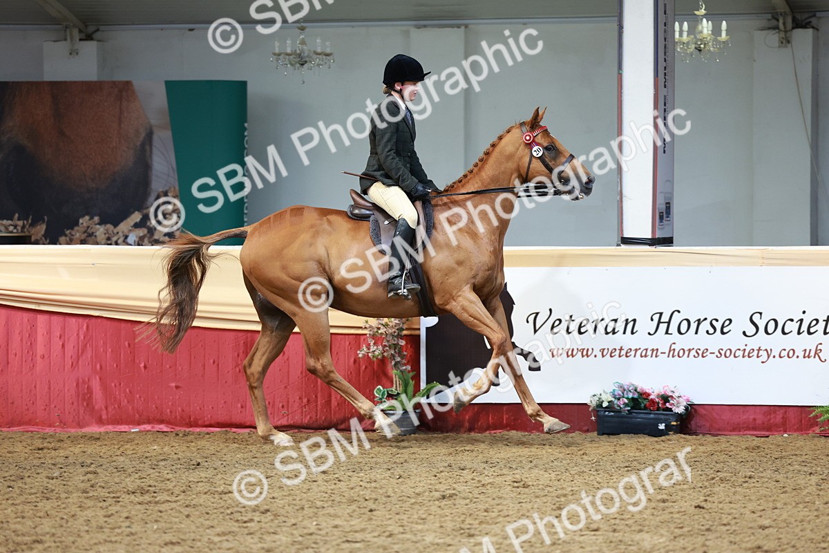 SBM_14938 - Class 108 - Ridden Retired Racehorse