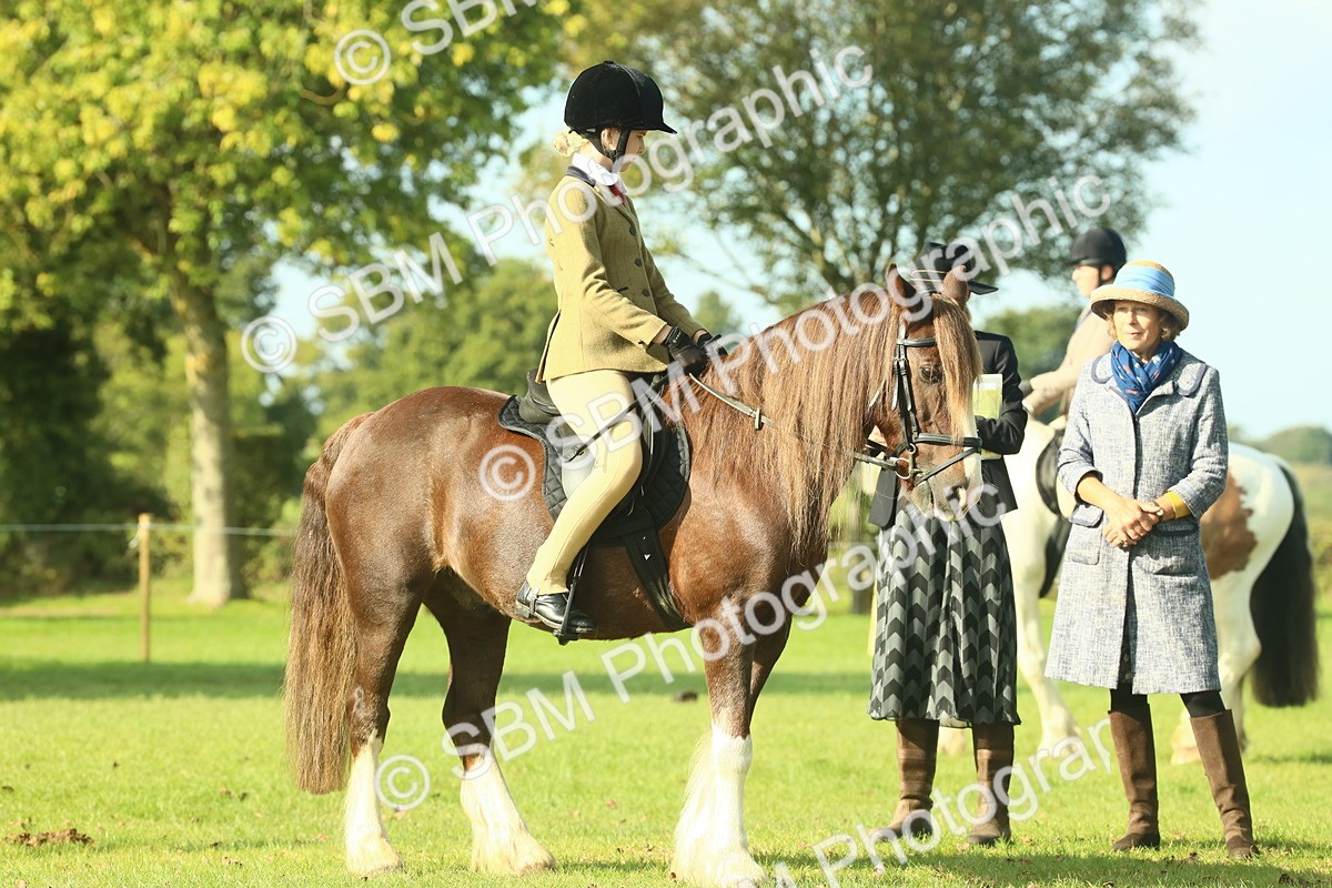 SBM_59894 - S38 - Starters Ridden Showing