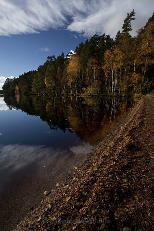 Loch Garten, Cairgorms national park - SCOTLAND LANDSCAPE PHOTOGRAPHY