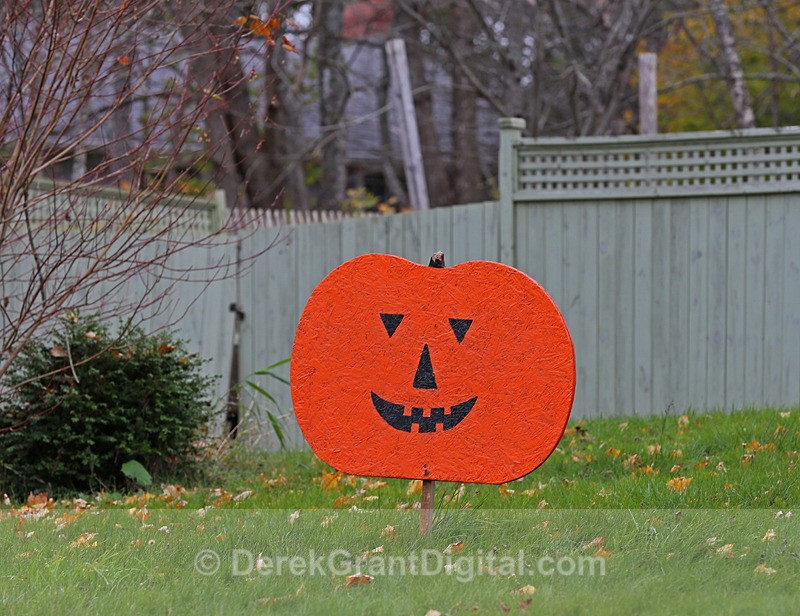 Peter Pumpkin - Autumn Festival