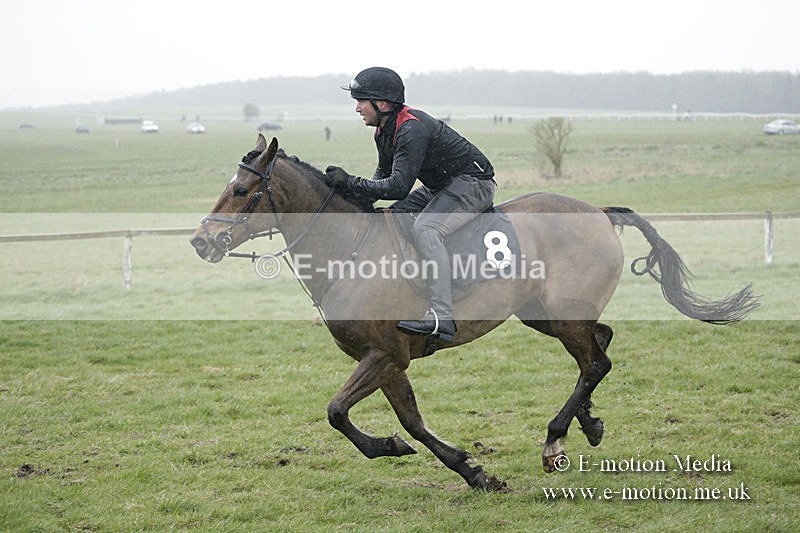 PtP 150320 0101 - New Forest Point-to-Point Larkhill 15/03/20