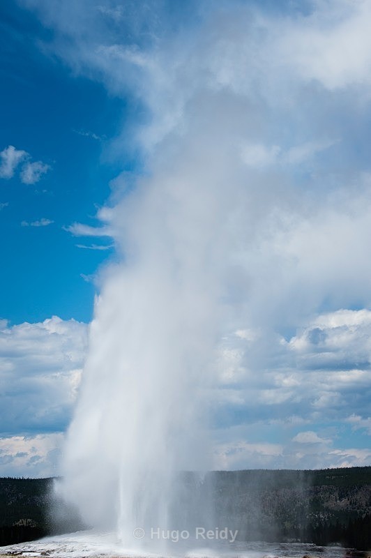  - Yellowstone