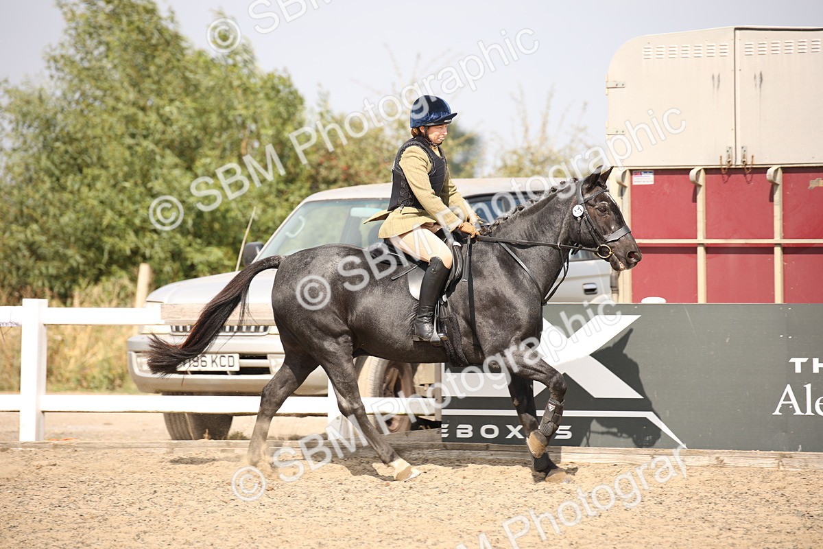 SBM_14313 - Class 407b - Working Veteran 60cm (20+)