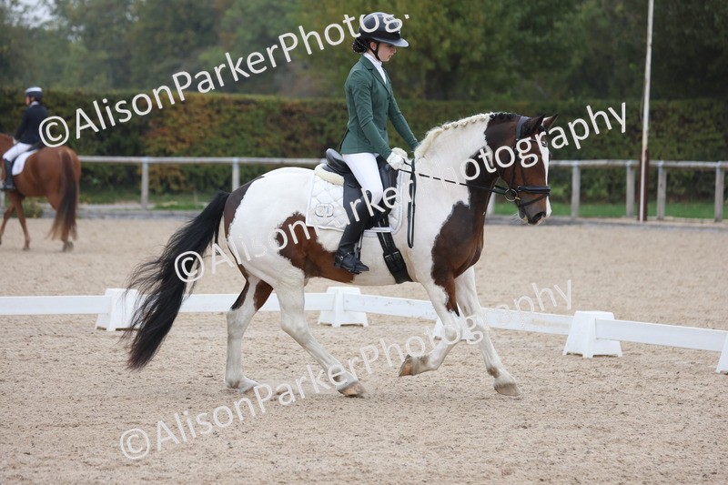 20251012-0597 - Class 5 - Elementary 5