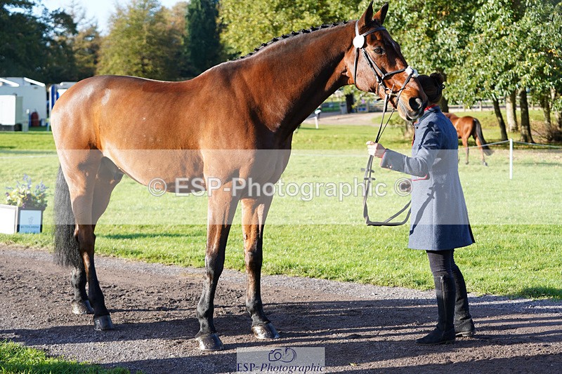 241026-101306-11689 - 053-Lois.Teal-Z7.CATASTROPHE