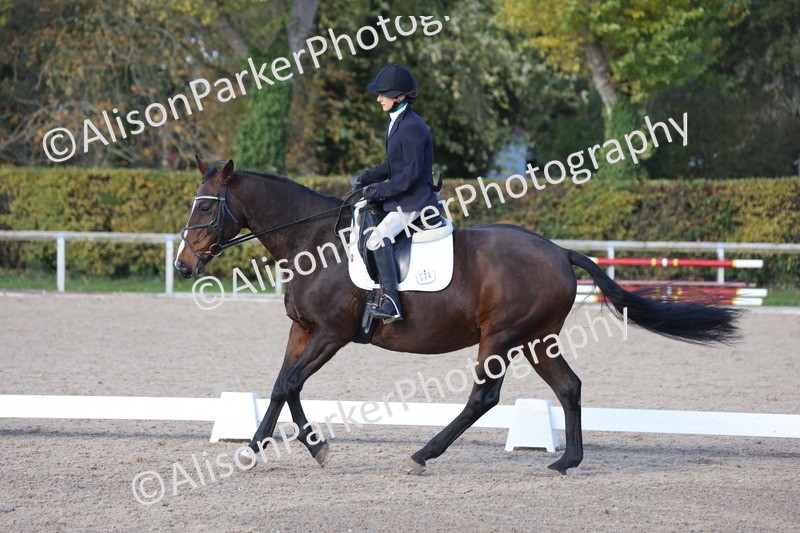 20251101-0578 - Class 4 - Novice 2