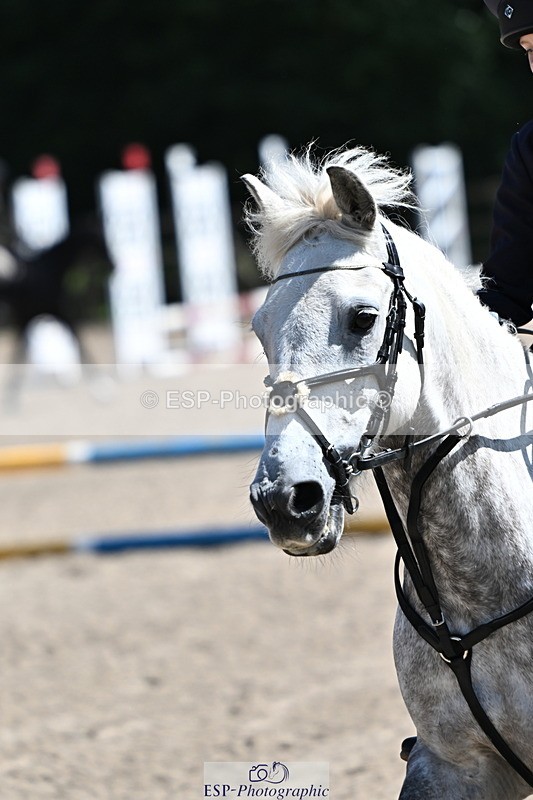 240729B-121520-02618 - Showjumping Competition