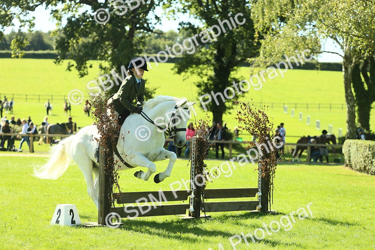 SBM_39174 - S29 - Novice & Newcomers Working Hunter Pony