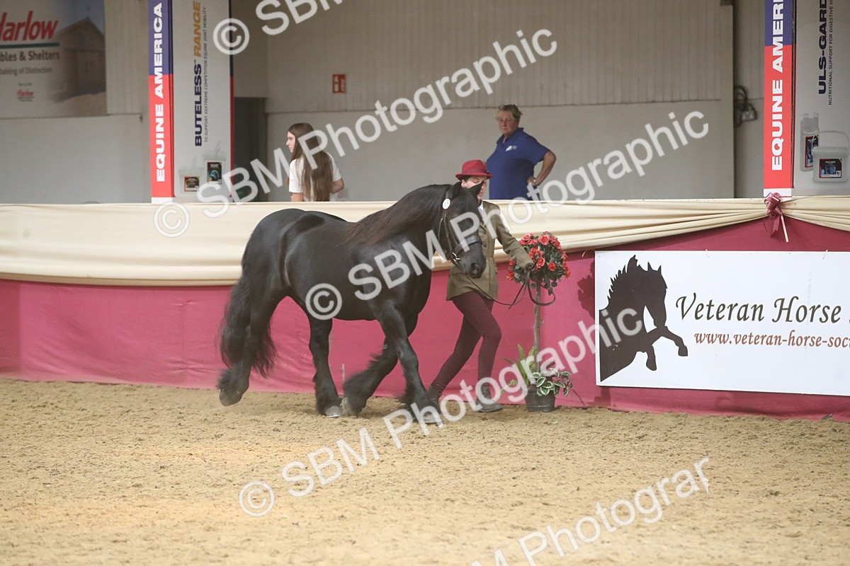 SBM_05495 - Class 9R - Regional IH Pre-Vet