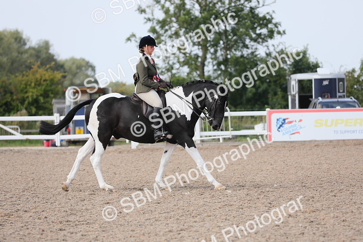 SBM_13549 - Class 308 Ridden Coloured Horse