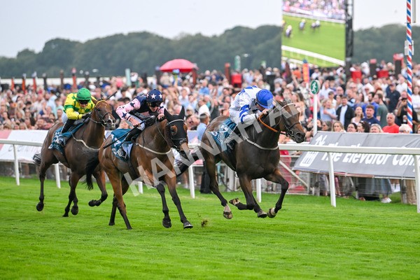 250725-Race 4-Dicko The Legend-5925 - Race 4 7.13pm Tomahawk Restaurants Handicap