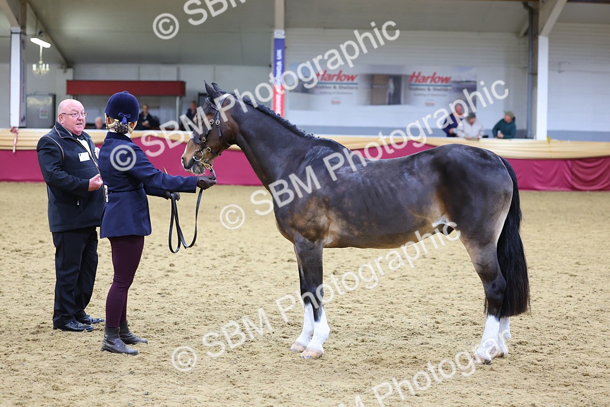 SBM_19537 - Class 901 - Supreme Final - IH Diamond