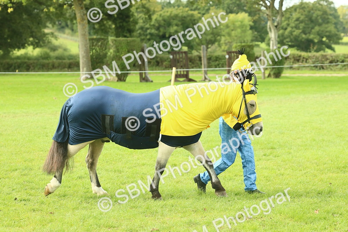 SBM_63483 - S35 - Fancy Dress Showing