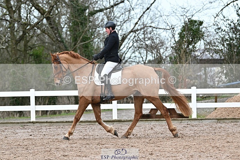 250125-142531-00835 - Dressage - CT Class 7 BE Novice 112