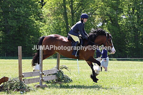 IMG_3507 - Working Hunter