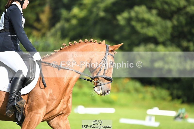 230826-093211-15132 - Sections C & D 9 to 10am