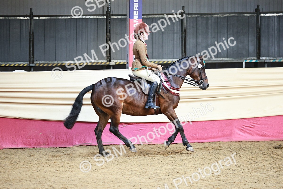 SBM_08711 - Regional Ridden Champ