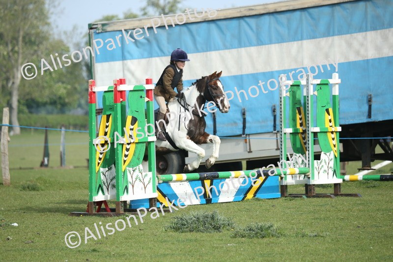 20260426-0065 - Class 13 - Rookie Jumping 50cm