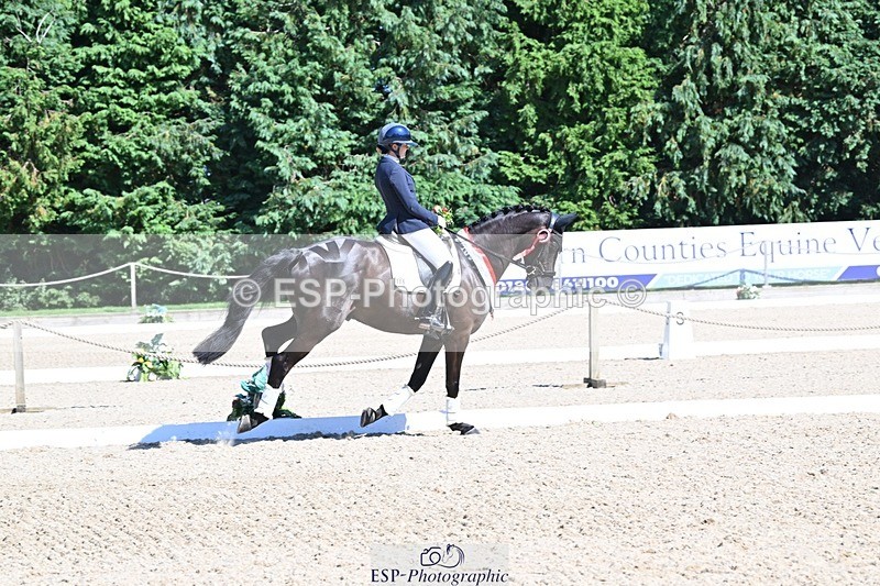 240811-153507-06677 - Adv Medium Gold