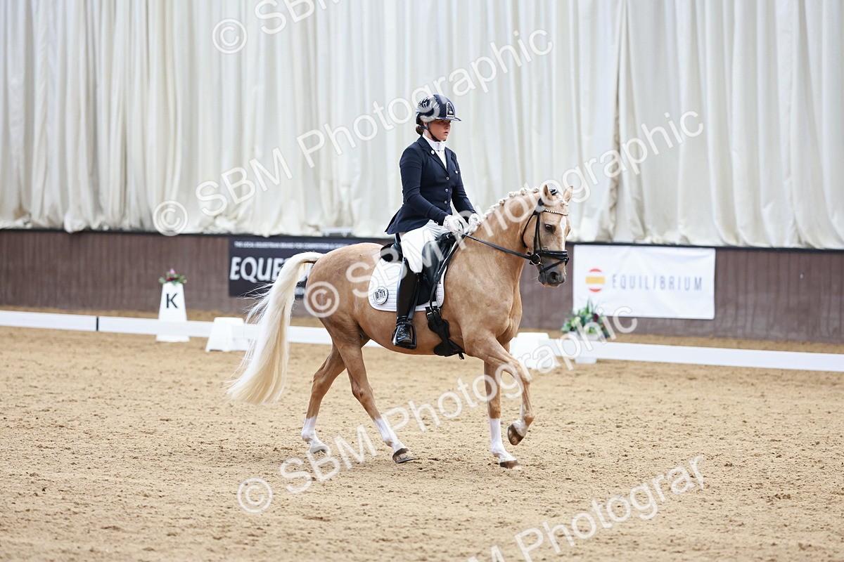 SBM_017329 - Class15 - FEI Pony