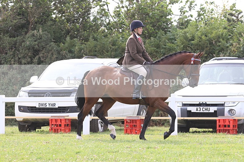 JPP_4229 - Class 25: Working Show Horse