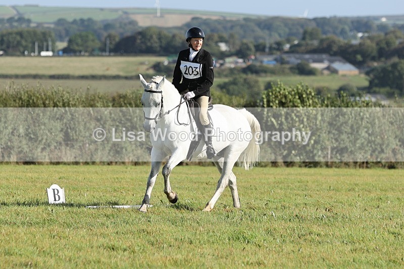 JPP_7897 - Class 2A: Trekenning Open: Dressage