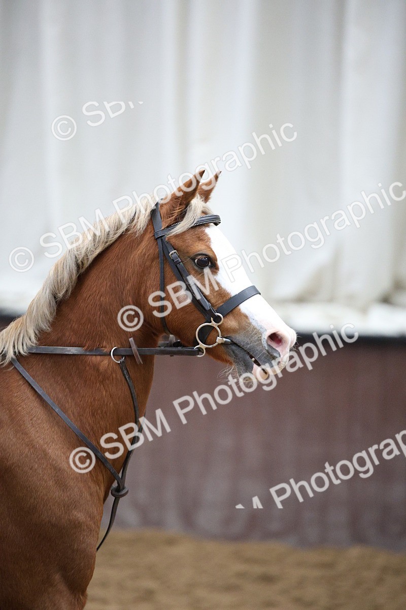 SBM_000539