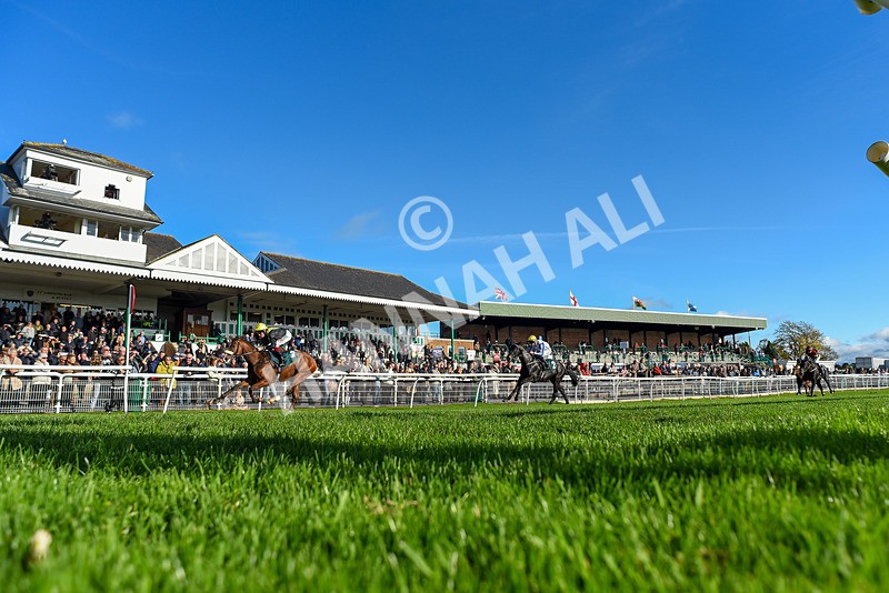 291024-Race 1-Hi Lord-2305 - Race 1