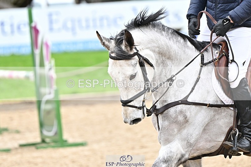 250201A-110515-00326 - Cls 02 Local Horse 100cm